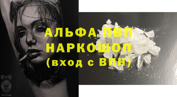 шишки Верея