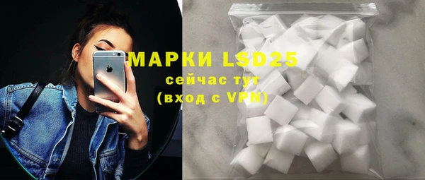 шишки Верея