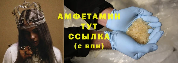 шишки Верея