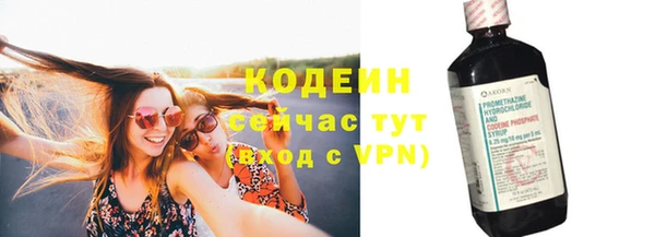 шишки Верея