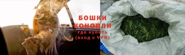 шишки Верея