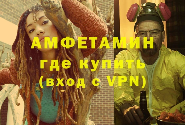 шишки Верея