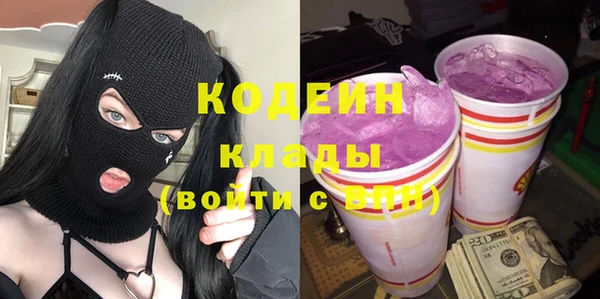 шишки Верея
