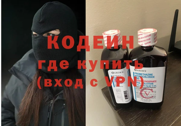 шишки Верея