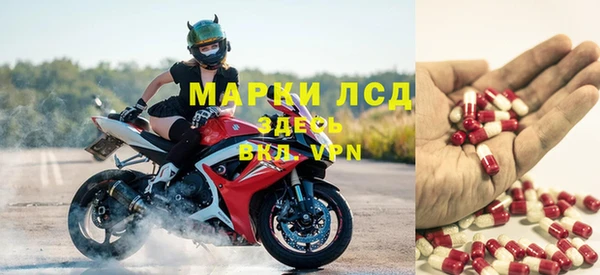 шишки Верея