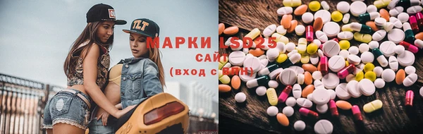 шишки Верея