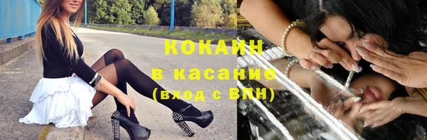 шишки Верея